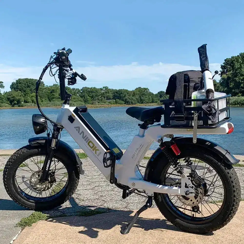 ANIIOKI Accessories Electric Bike Saddle Bag Rear Cargo Basket